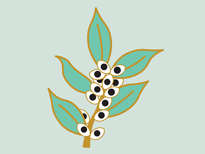 Eye Branch