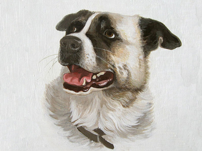 Pet Portrait dog fine art illustration painting
