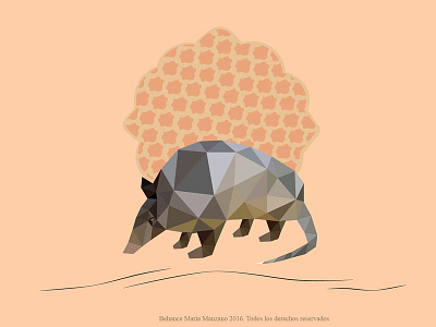 Animal Low Poly Schone Art (mary) animal character caracter color diseño illustration ilustración low poly nature illustration pattern design