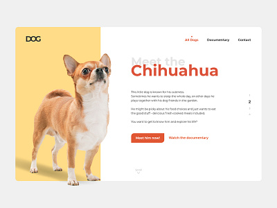 "DOGS" Website - Chihuahua Header chihuahua design header hero simple webdesign website