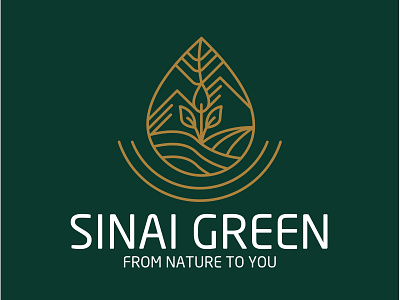 Sinai Green Logo 01 branding graphic illustration logo concept logo design