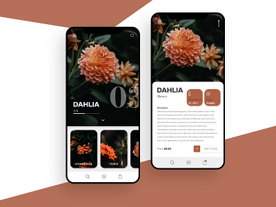 Flowers app app ui appdesign buttons design designer designs flower fonts orange oranges uidesign ux uxdesign white
