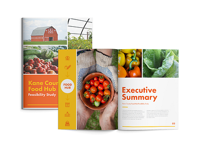 Food Hub Report brochure executive summary feasibility study food hub magazine report veggies