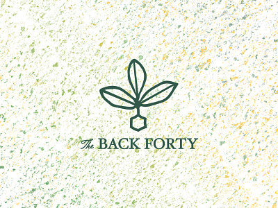 Back40 Logo Concept apiary back back40 bees design farm flowers forty garden honey logo nature scad