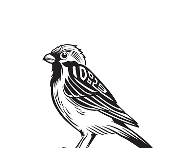 Sparrow vector