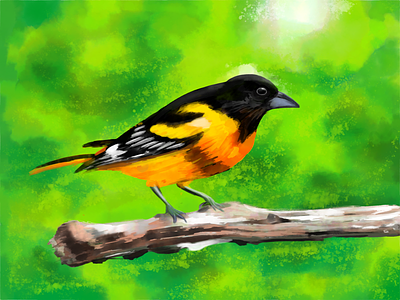 Bird - digital painting on iPad Pro adobe fresco animation digitalart illustration ipadpro sketch