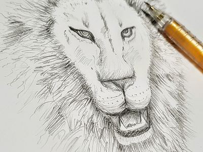 Lion lion pencil