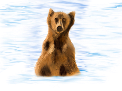 Bear digital art ipad pro procreate