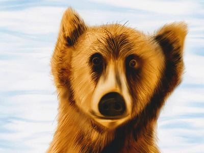 Bear - Close up