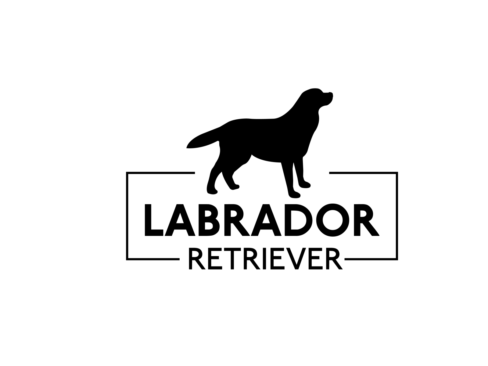 Labrador Retriever logo design by Bluepentool 2 on Dribbble