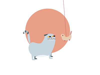 Bait bait cat design illustration scottishfold vector