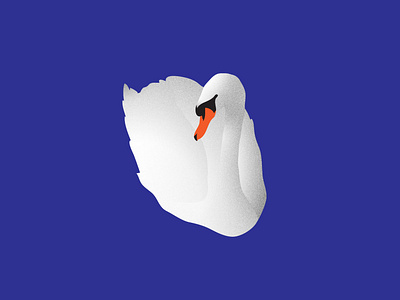 Swan Sketch animal bird bird illustration black blue illustrator orange swan water white