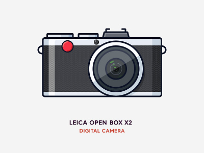 Digital Camera illustration