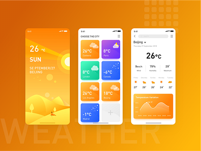 Weather Interface