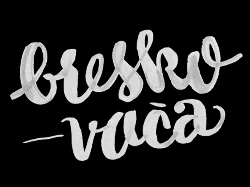 Schnapps brush drunk informal lettering packaging pentel rakija relaxed script