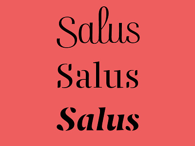Salus branding design digital fancy graphic logo logotype script stencil type typography vector