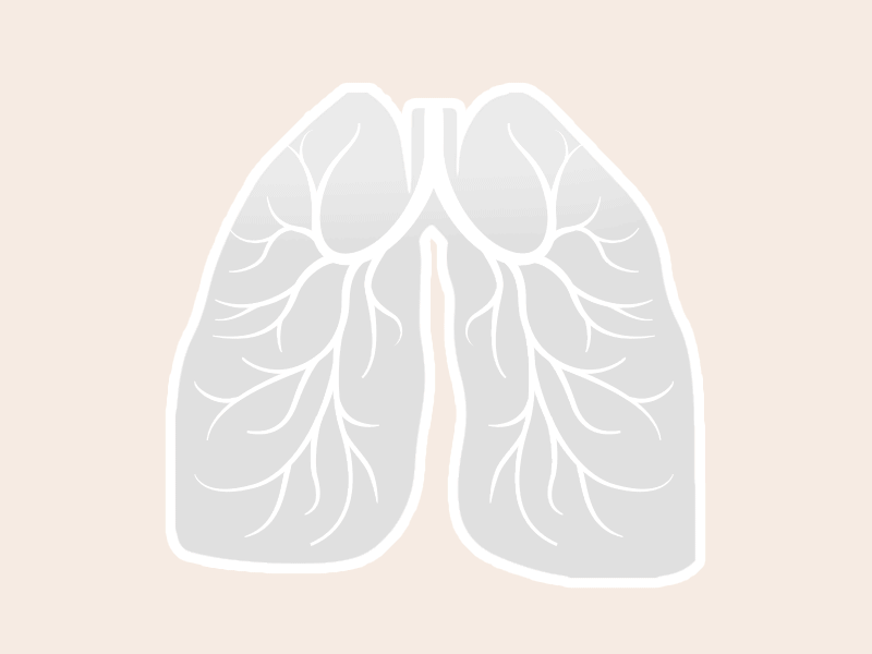 Lung Animation air anatomy animation gif lungs