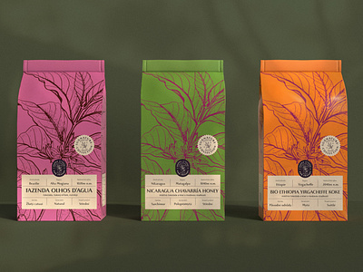 Coffee package design concept