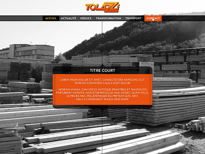 Tolazzi {full design} black white france french one page orange photo sawmill web design website yellow