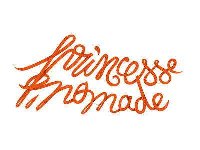 Princesse Nomade apparel fashion hand letter identity logo orange ribbon shadow typography vector