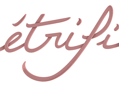 Les pétrifiantes / logo calligraphy logo poster shop vector webdesign website