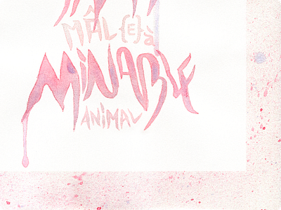 Amimâle {FINAL} calligraphy french handwriting pun red watercolor words