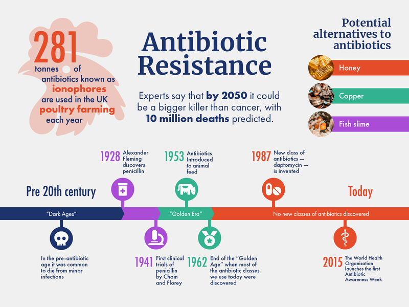 Antibiotic Resistance infographic by Tina Remiz on Dribbble