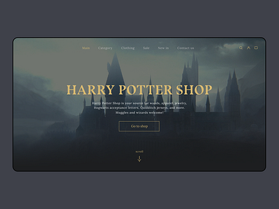 Harry Potter — Store Concept