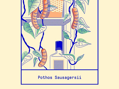 Pothis Sausagersii