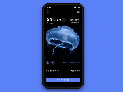 DailyUI 032 - Crowdfunding Campaign app app design blue crowdfunding dailyui dailyui 032 design framerx minimal mobile app mobile ui prototype purple ui ux web