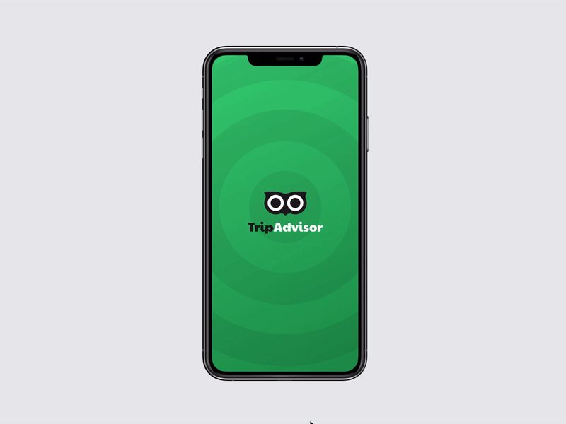 TripAdvisor app concept 001 android animation app application daily ui dailyui form green ios log in login logo mobile owl register sign up signup travel tripadvisor