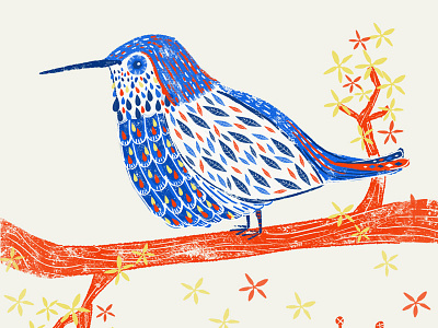 Bird illustration exploration digital hummingbird illustration