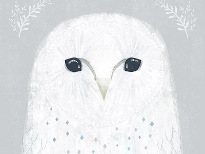 Moonface Owl illustration moonface owl