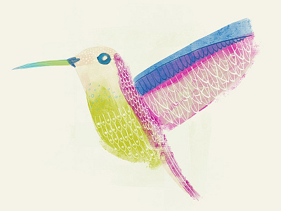 bird bird hummingbird illustration print