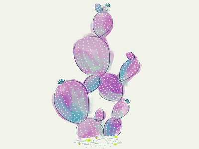 Prickly pear - cactus