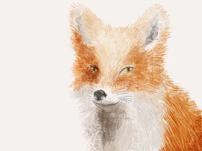 Painting foxes. animal fox illustation ink mixmedia watercolor wip