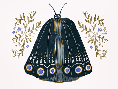Moth illustration moth surface design