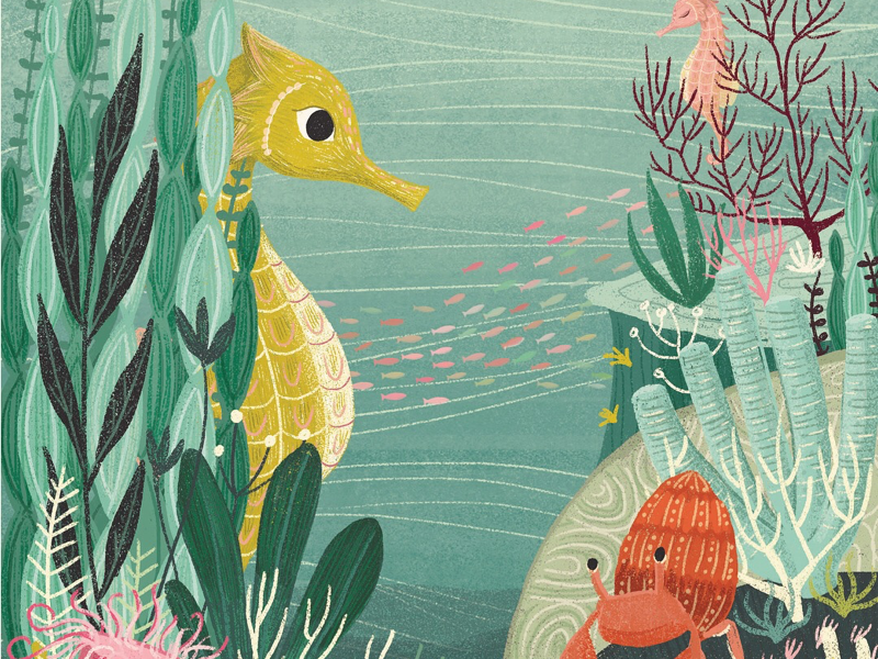 Underwater by Ciara Ní Dhuinn on Dribbble