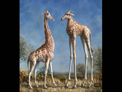 Emmm...Welcome To The Herd... africa animal desert girafe herd humour sabana sky tree