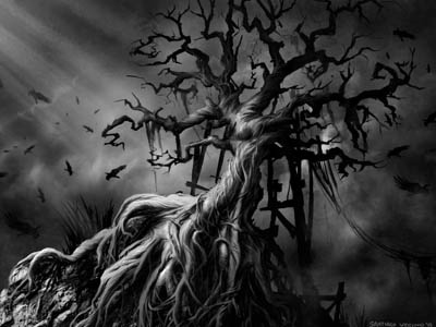Crowe S Tree creepy crowe dark night roots tree