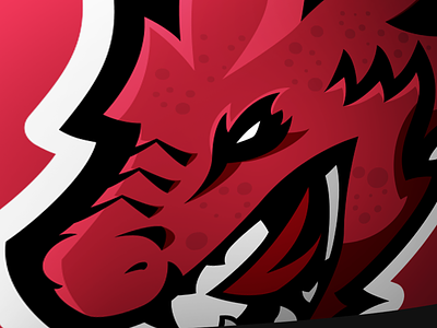 close up dragon mascot logo appareldesign branding design dragon dragonlogo esportlogo icon illustration logo logodesigner mascotlogo photoshop teamlogo vector