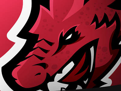 close up dragon mascot logo