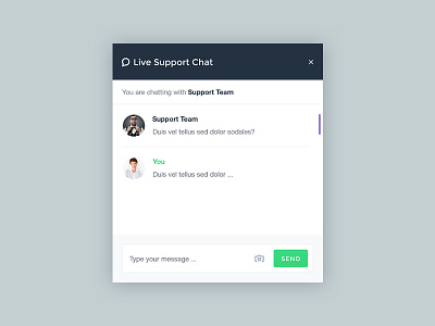 Support Chat 