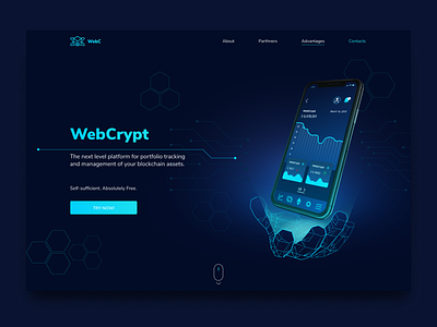 WebCrypt | First Screen | Landing Page crypto cryptocurrency design futuristic ui illustration interface mobile polygonal ui ux vector