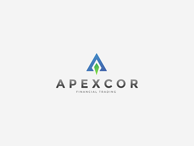 Apexcor Visuals branding business card concept creative design envelope finance folder letterhead logo minimalist typography vector
