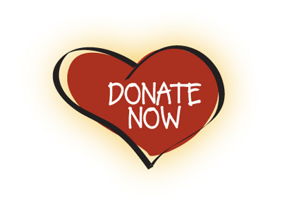 Donate Now button donate