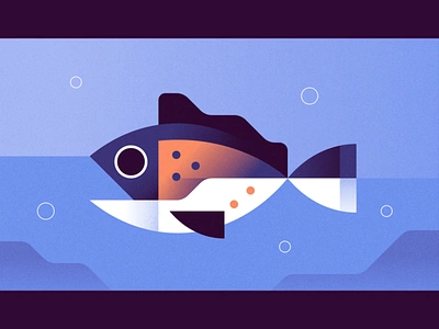 Fish animal aquatic fish illustration ocean sealife summer swim