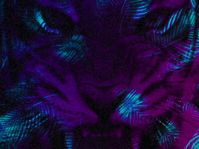 HYPE chill out fierce jungle loop motion selva tiger tigre tropical visual visuals vj