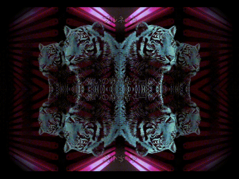 ブルネット arcade chinatown fierce grr lights motion neon tiger tigre visual visuals vj