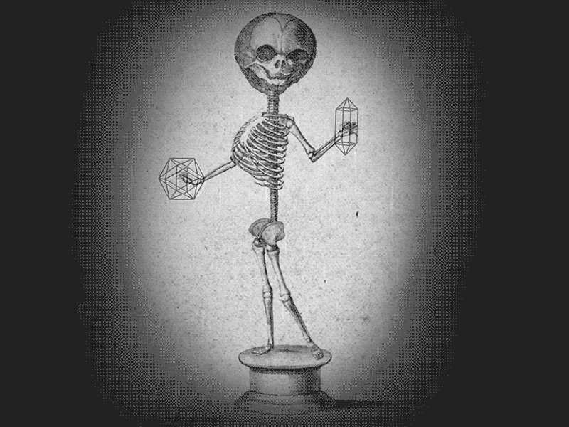Freak anatomy child freak show gothic illustration medical skeleton vintage visual visuals vj